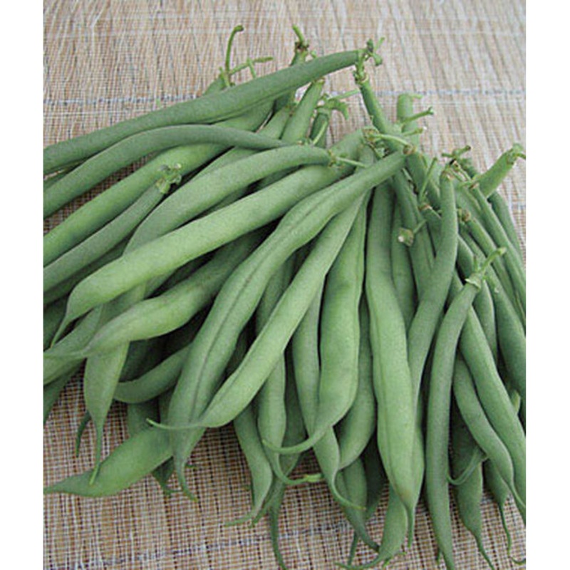 Stringless Green Pod Garden Bean Seed Pack 56473