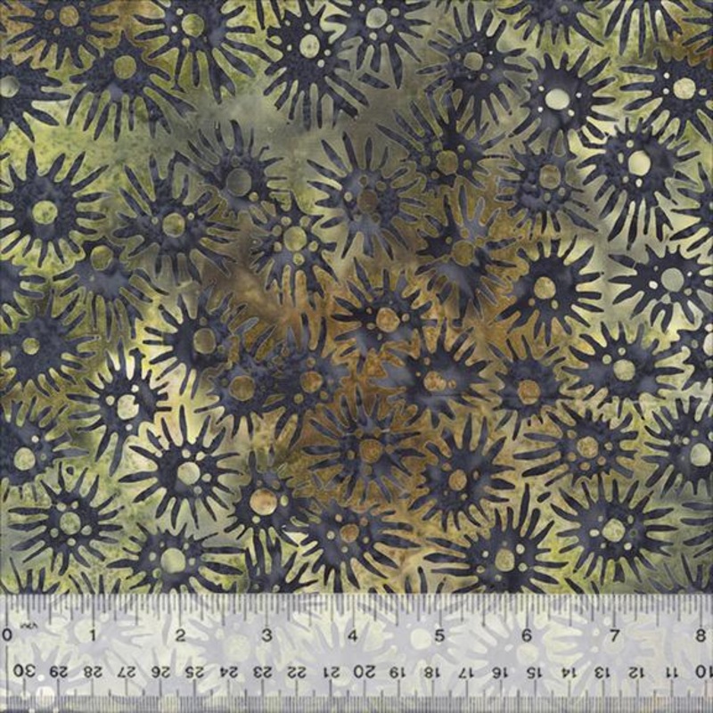 Quentin: Pasture Sea Urchins
