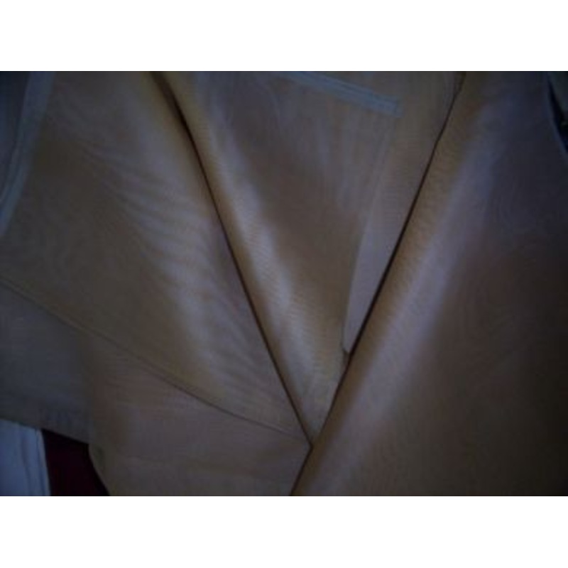 Rich beige / gold Iridescent silk organza fabric 54