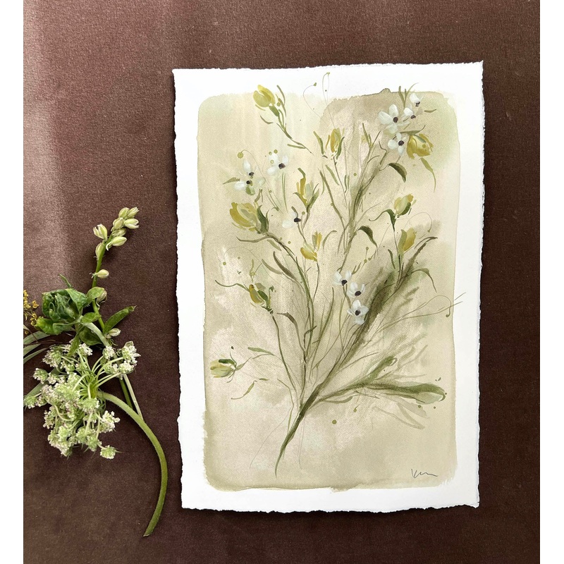 Yellow Toadflax No. 1