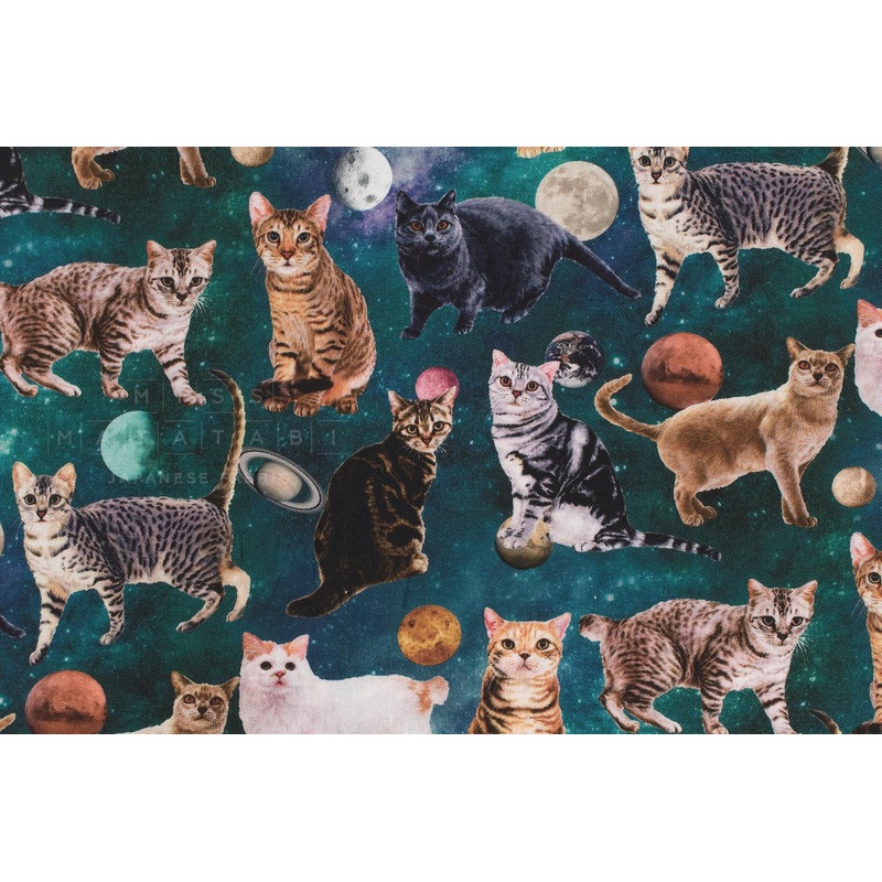 Space Cats - green