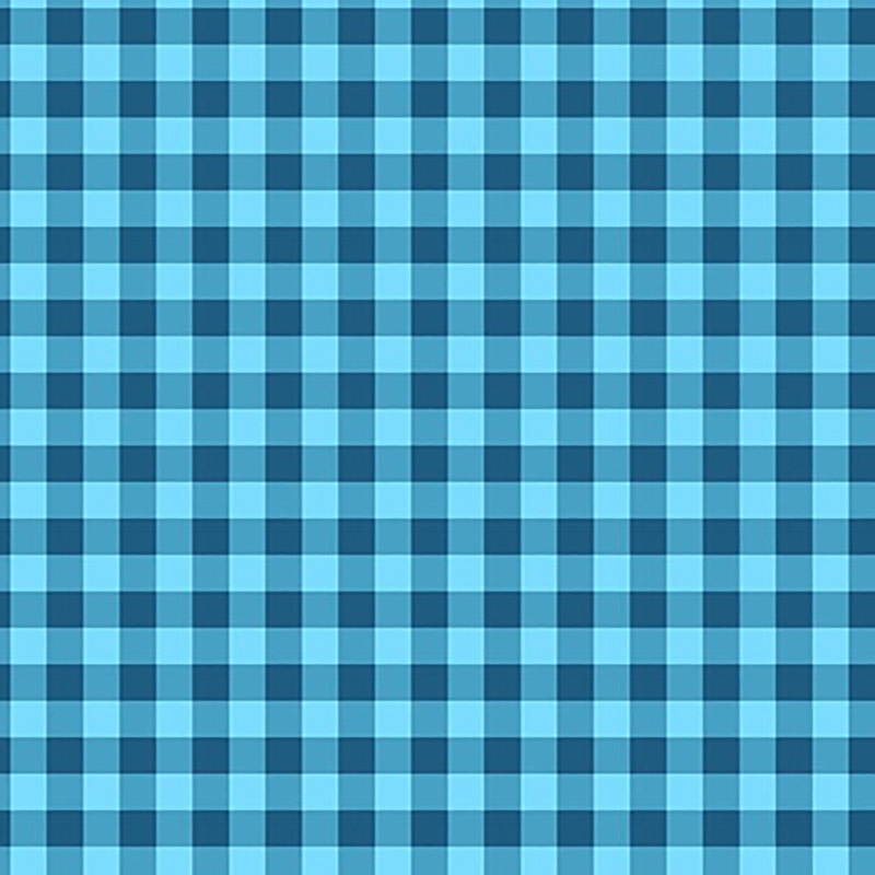 Squeeze the Day Blue Check Blue Rebecca Canale Studio E Cotton Fabric