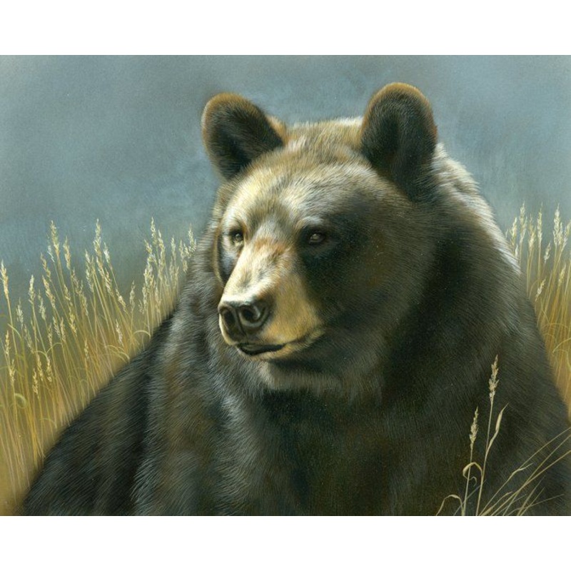 Black Bear 36" Portrait Panel Art Licensing David Textiles Cotton Fabric DT-JQ-0074-9C-1