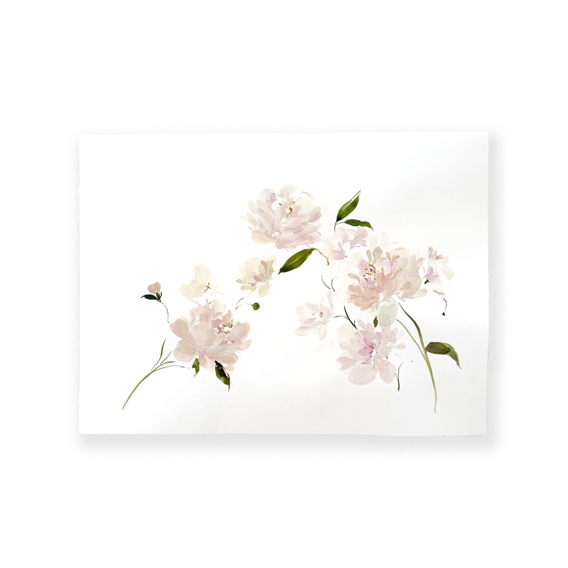 Peony Study No.8