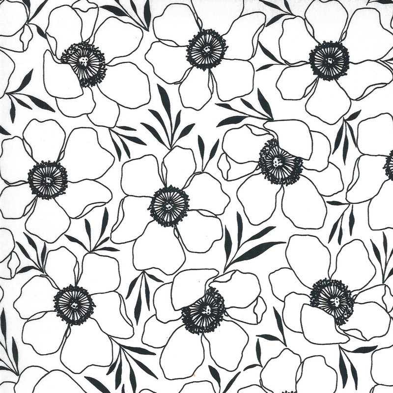 Anemone Flowers on Paper