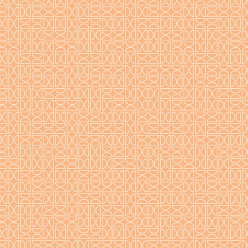 Tangerine Quilt Fabric - Zesty Wedges Tang in Orange - TAN69906