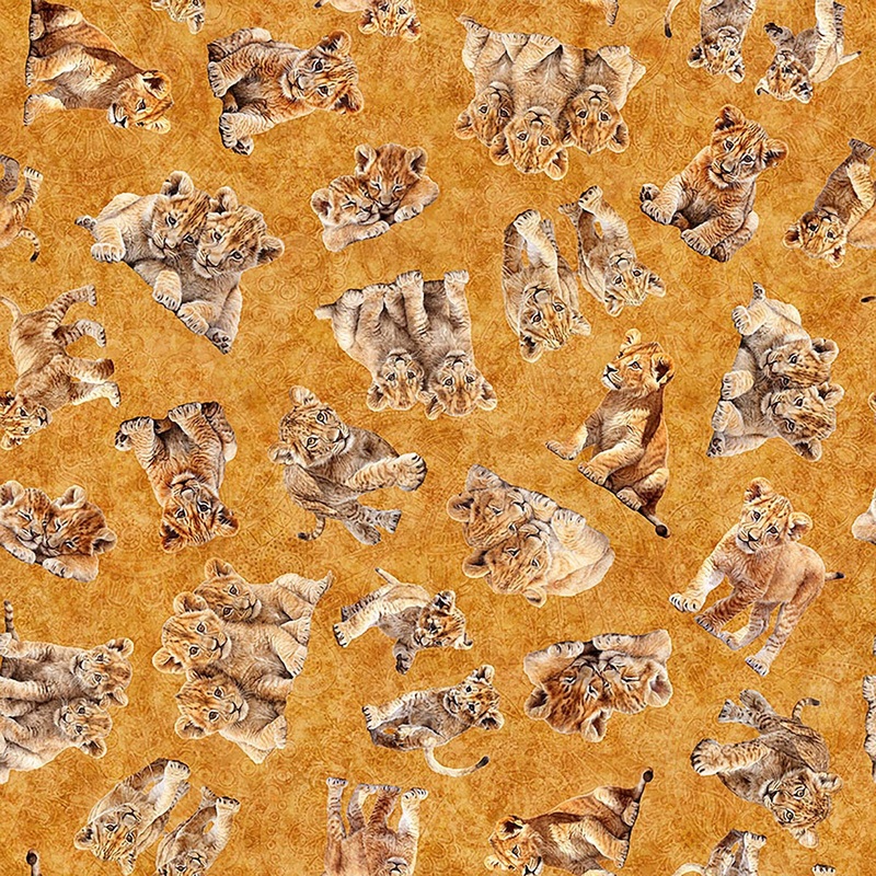 SALE Roar Of The Pride Lion Cubs Toss 31216 Gold S - QT Fabrics - Kittens Baby Cats Babies - Quilting Cotton Fabric