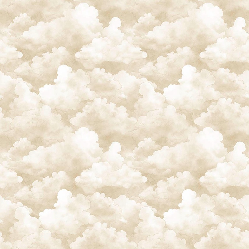 Bearsville Clouds 31264 Tan E - QT Fabrics - Cloudy Sky Atmosphere Abstract - Quilting Cotton Fabric