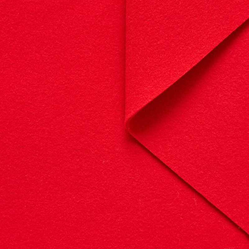 T22J00803 | Double face wool felt Goji Berry