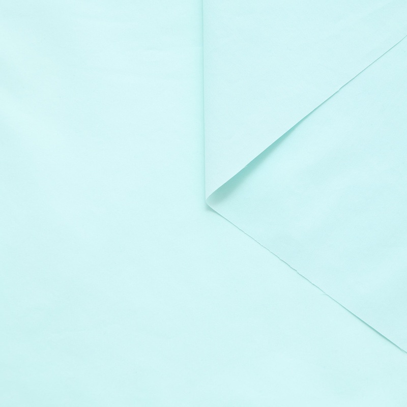 T25B13530 | WR Technical Cotton Poplin Salt Air