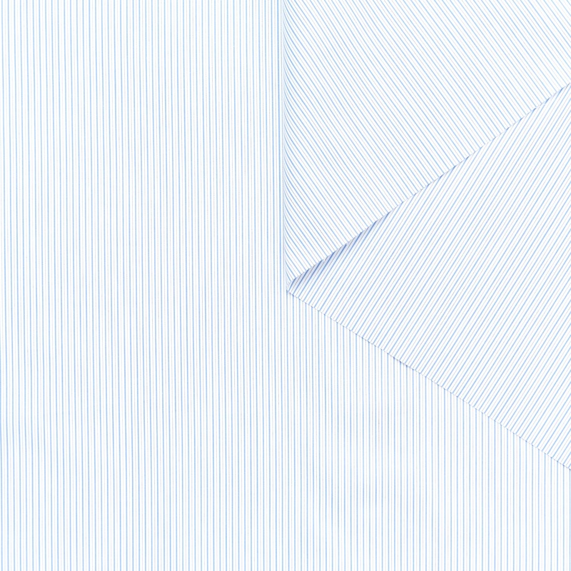 T23V05946 | Stripe Cotton Poplin Ancient Water