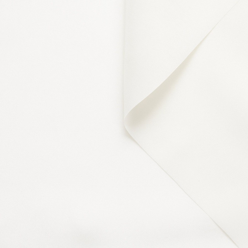 T21B00418 | Dry Silk Pongee Snow White
