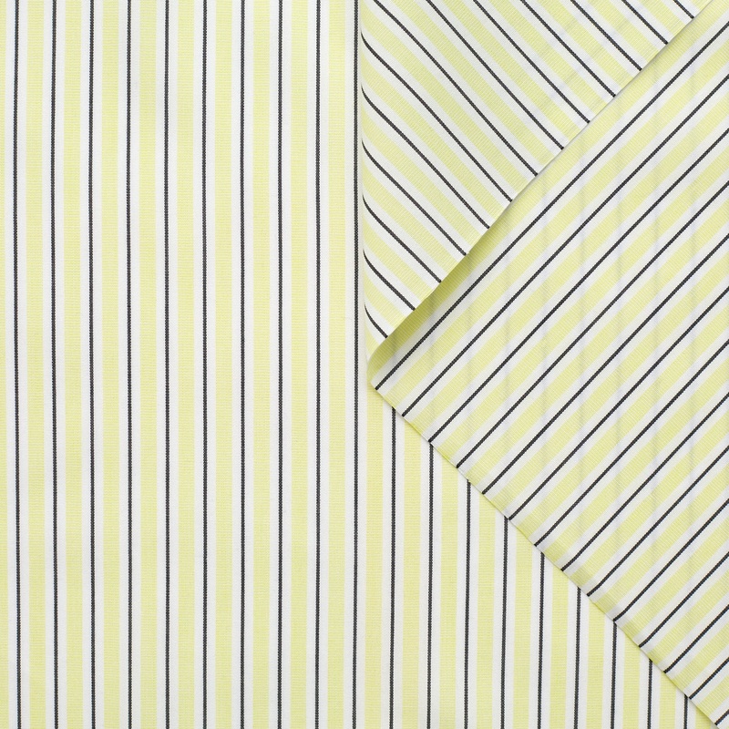T23K04220 | Striped Cotton Poplin Charlock