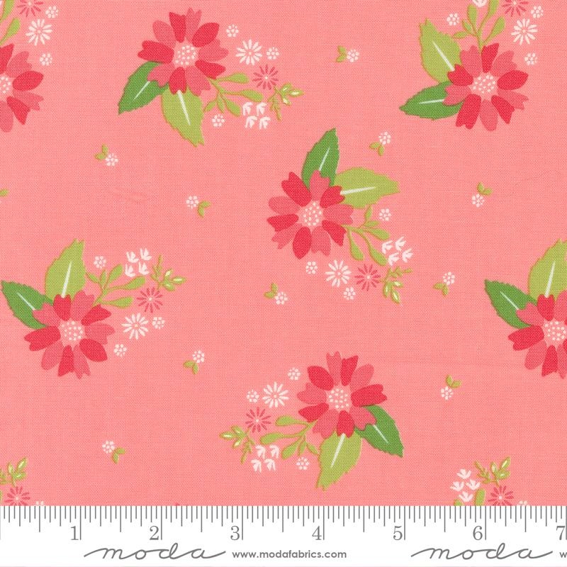 Strawberry Lemonade Carnation 37671-12