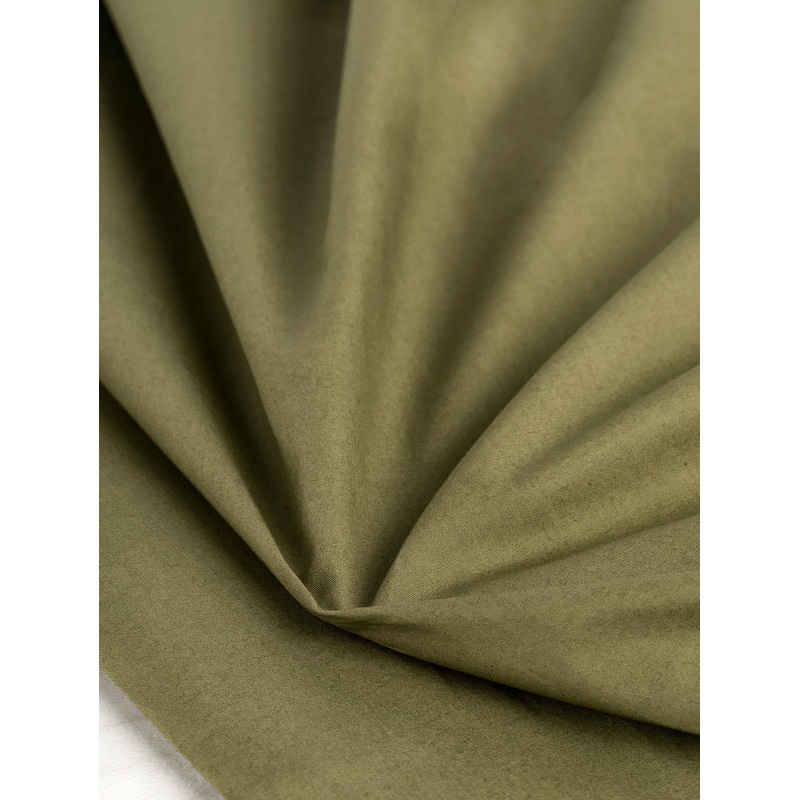 Signature Crisp Cotton Poplin - Olive