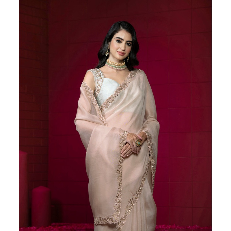 Baby Pink Handloom Embroidered Organza Saree with Ice Blue Raw Silk Blouse