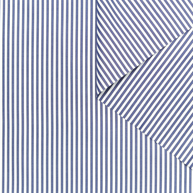 T24A09170 | Stripe Cotton Poplin Limoges