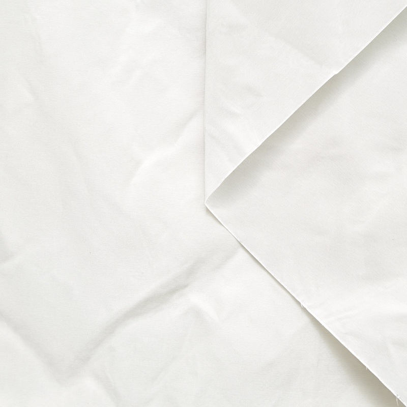 T23M05748 | Silk & Metal Fibers Radzimir Taffeta White Sand