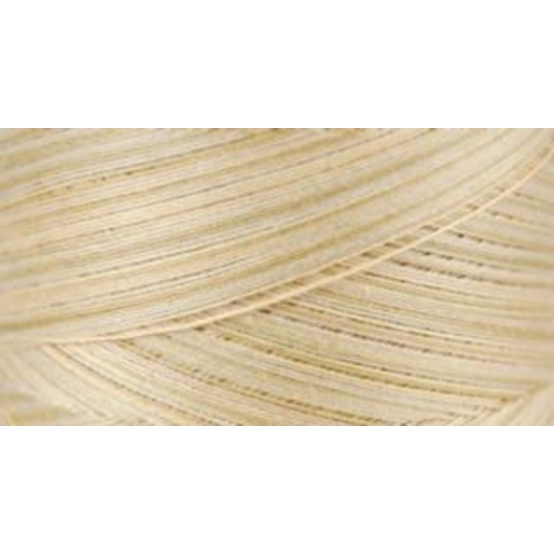 Signature Varigated Thread - Neutral Tints
