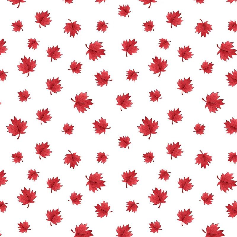 Red Maple Leaves on White Quilting Cotton | Oh Canada