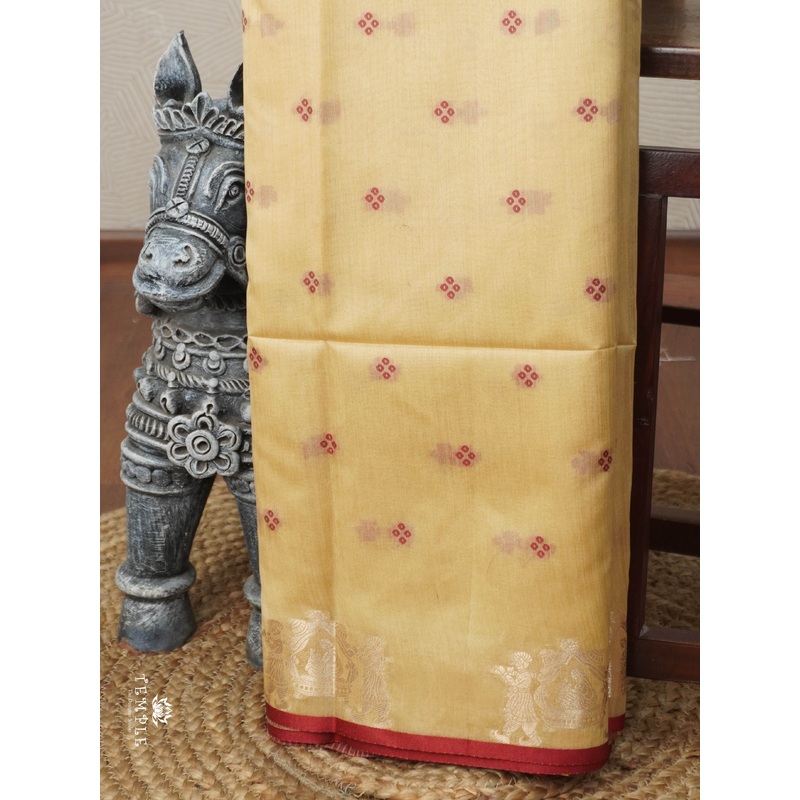 Raw Silk Saree | TTDS3008