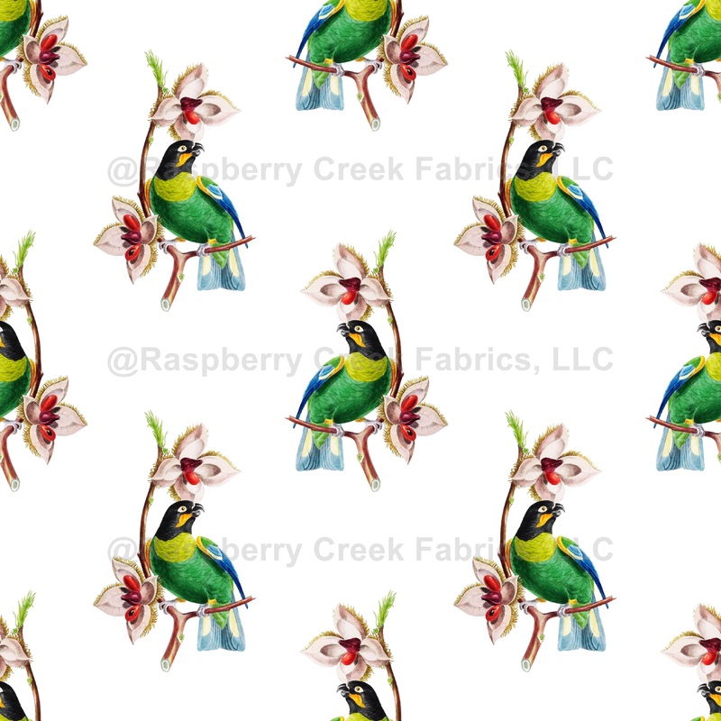 Pattern Of Parrots, Barraband's Parrot, Orange-cheeked Parrot