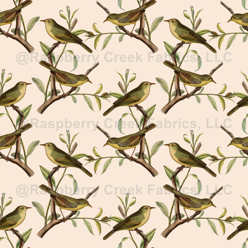 Warbler, Pattern Of Birds, Green Birds, Tree Branch