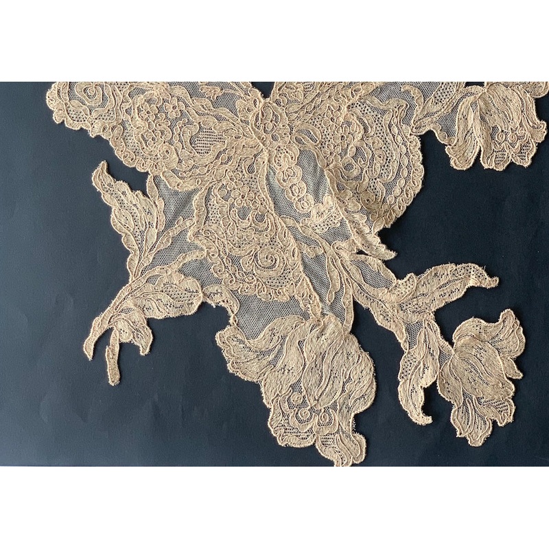 Vintage 3 1/2" Re-Embroidered Butterfly Cotton Lace Collar (Made in France)