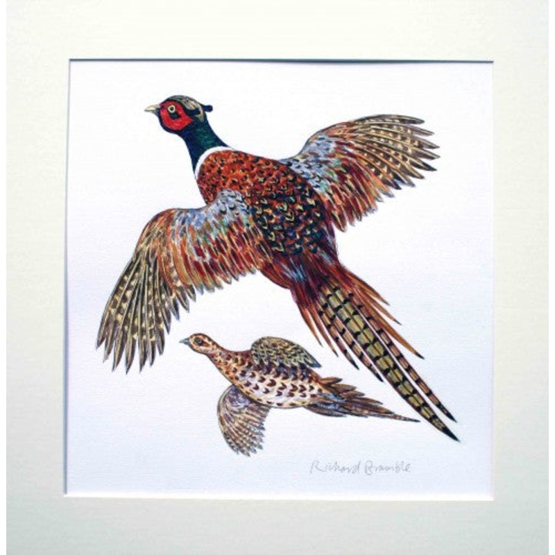 Richard Bramble Pheasants original watercolour painting