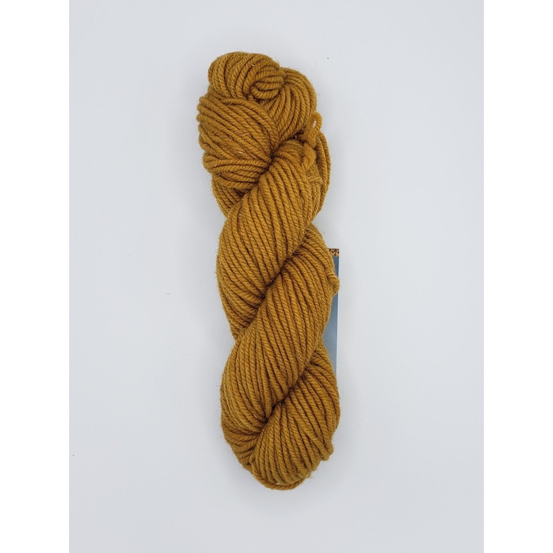 Wonder Woolen - HARVEST - Fleece Artist Hand Dyed Yarn OOAK - ARAN