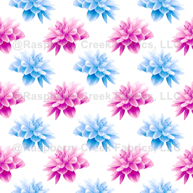 Pink Dahlia, Blue Dahlia, Floral Pattern, Flowers