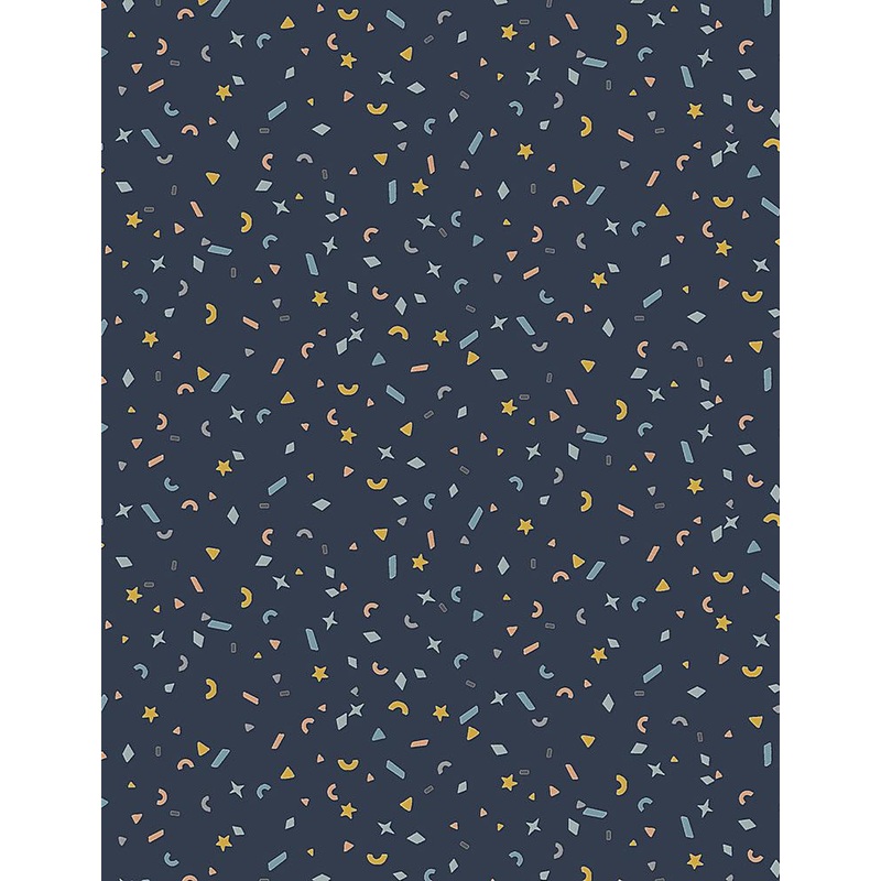 Stardust in Midnight