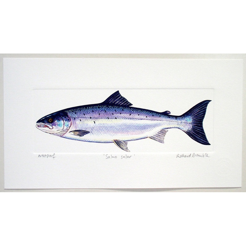 Salmon print