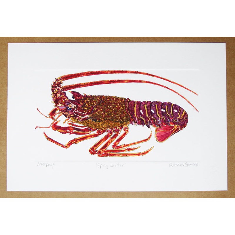 Richard Bramble Spiny Lobster, Crawfish, Langouste or Crayfish side view print