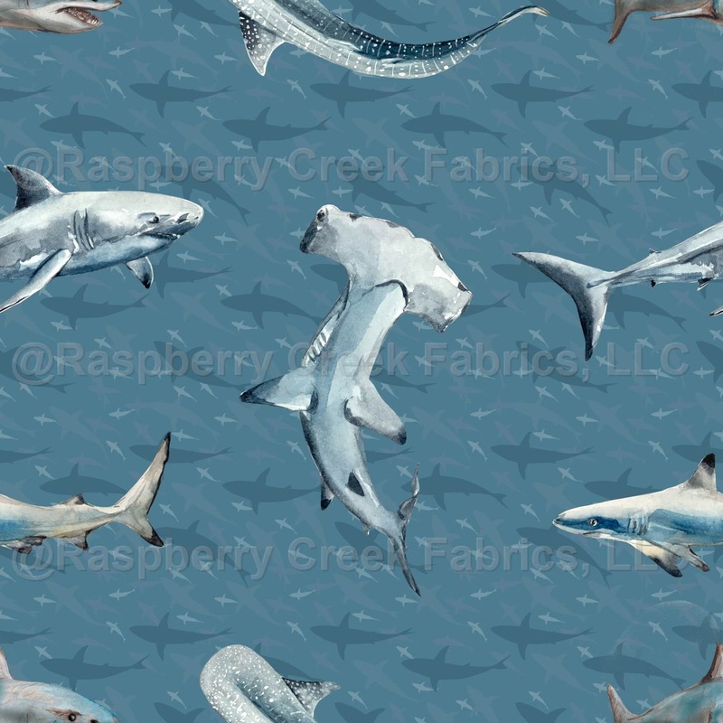 Shark
