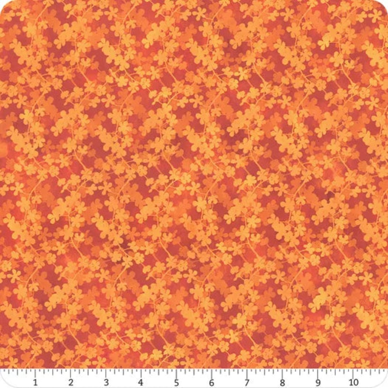 Sunshine Vine Orange