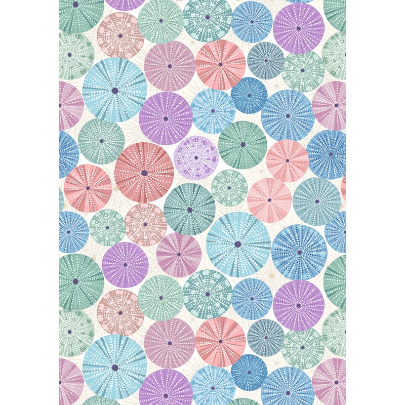 Sea Urchin Shells, Multi On Cream