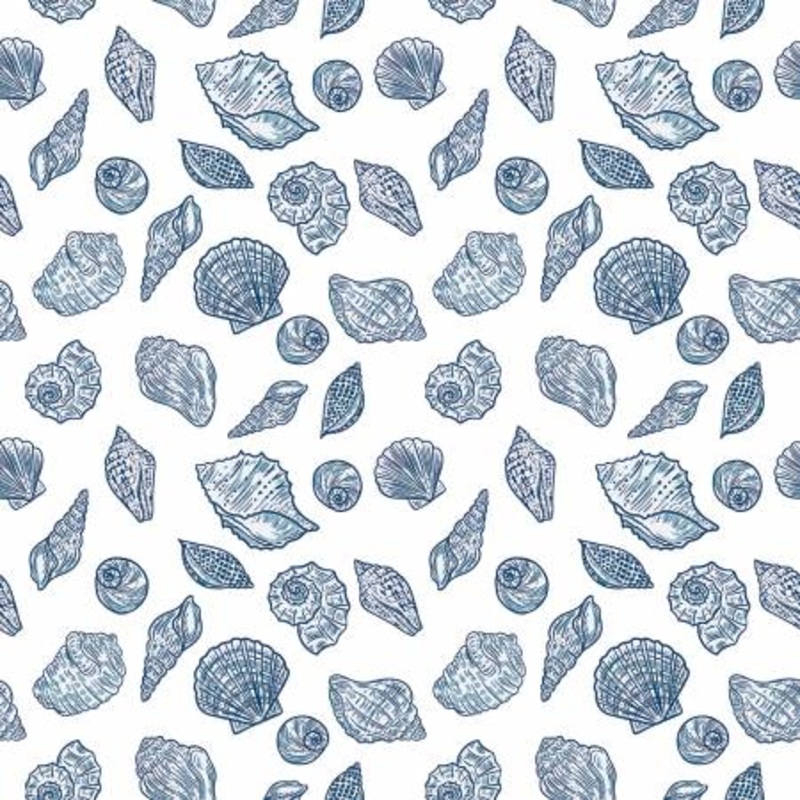 Seashells - Ocean Oasis - White