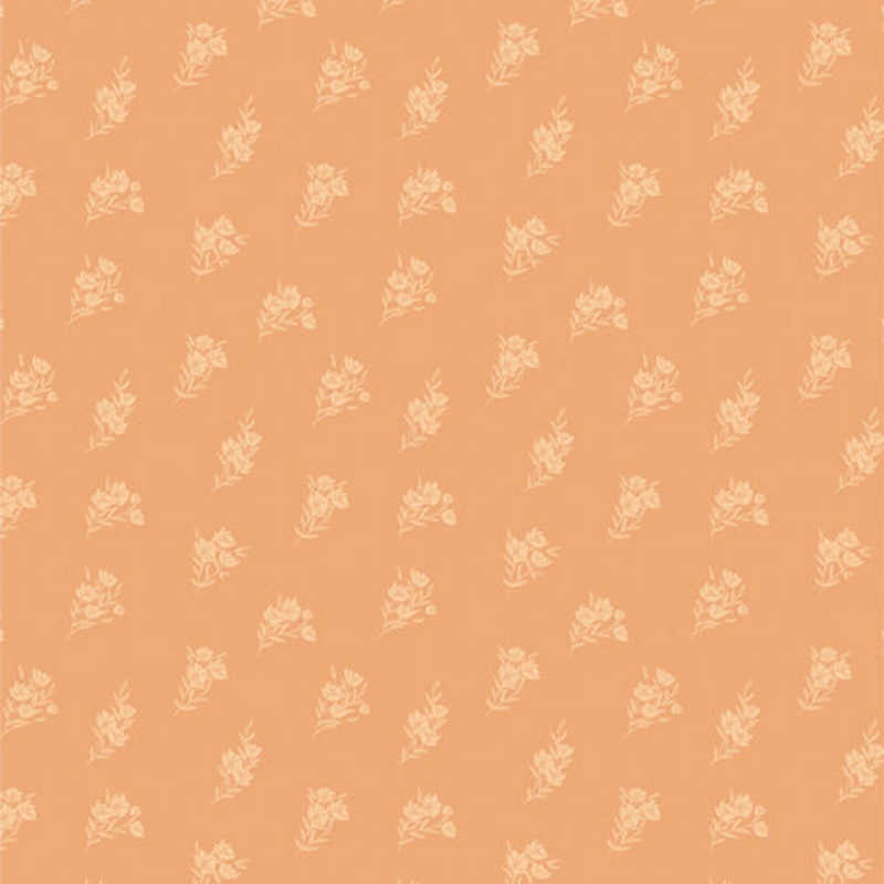 Season & Spice by AGF Studio