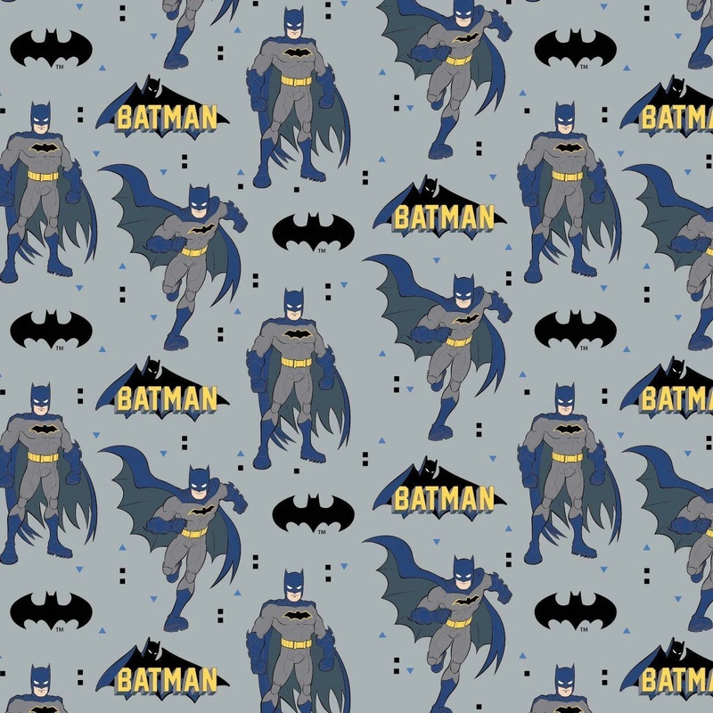 YOUNG DC Batman - SALE $22.00 p/m