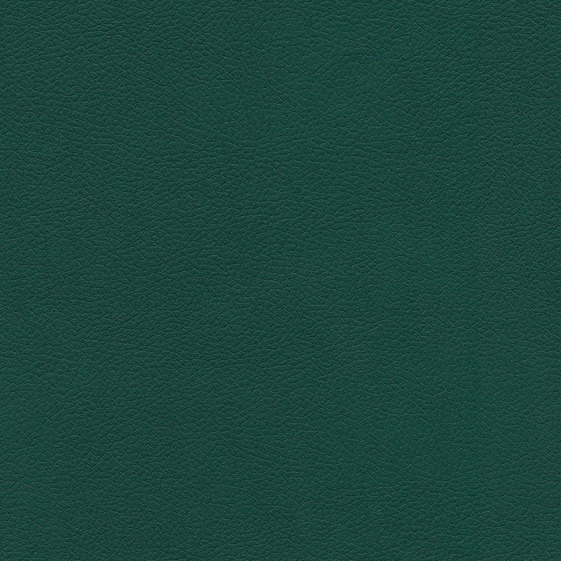 Seaweed Forever Pleather