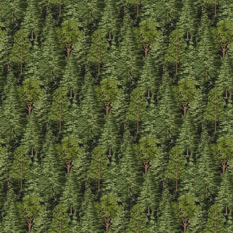Bear Necessities Trees Black Multi Deborah Edwards Northcott Cotton Fabric NC-28626-99