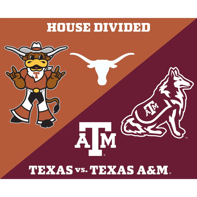 Texas Vs. Texas A&M A House Divided Panel 36" NCAA College Sykel Enterprises Cotton Fabric 1396TX-TAM
