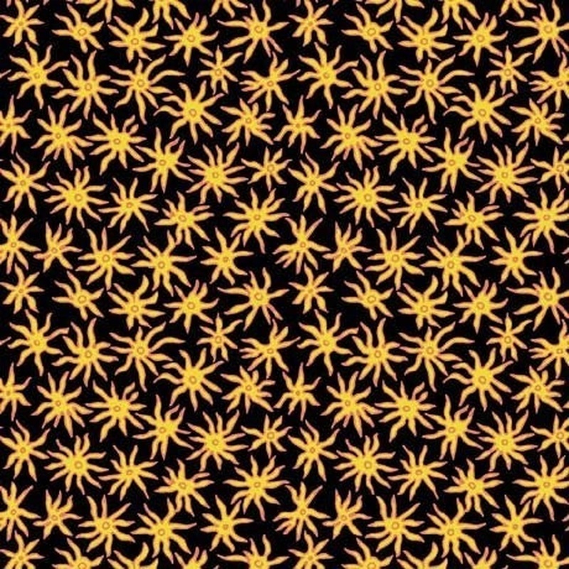 QT Cactus Garden - Spider Flower - Black
