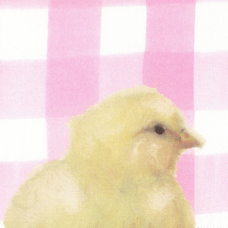 Sunshine - Garden Pink Fabric