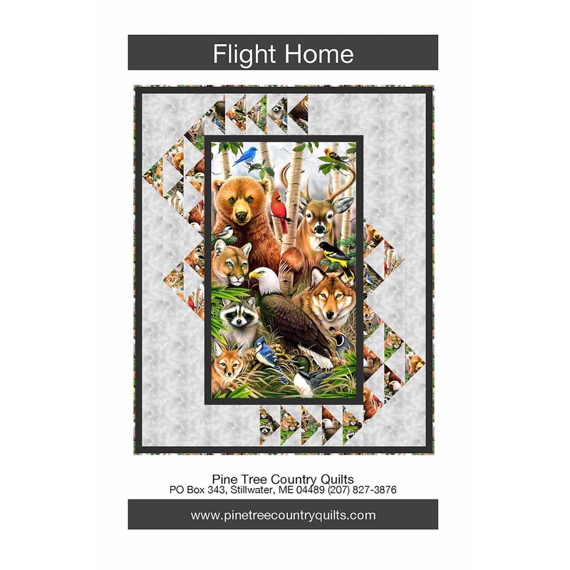 Flight Home