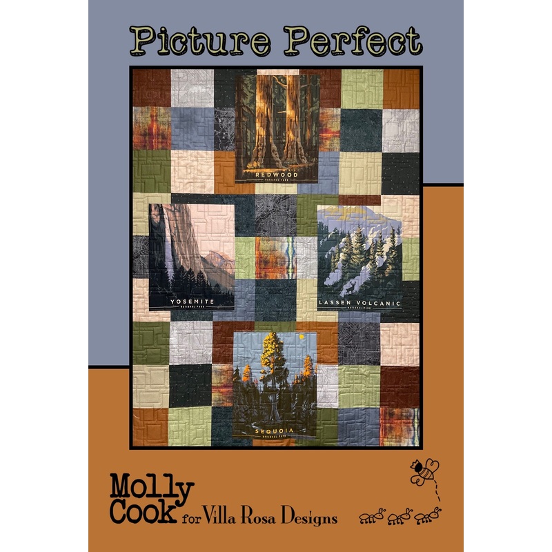 PICTURE PERFECT