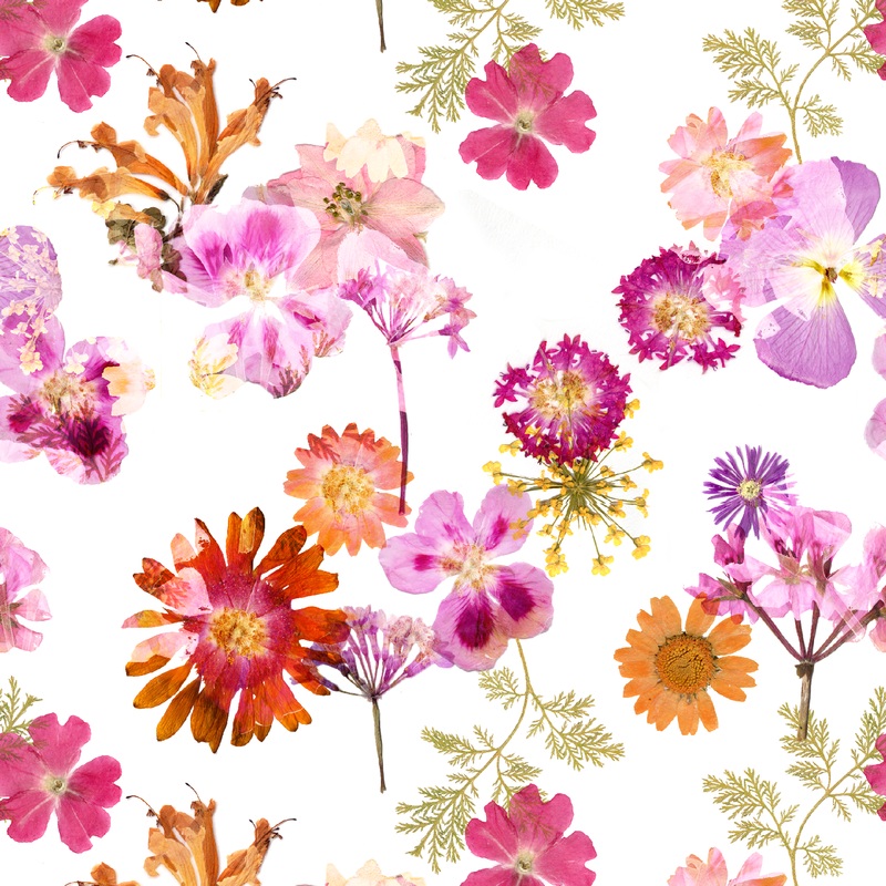Sara Berrenson - Pressed Petals - Vibrant Floral Fabric
