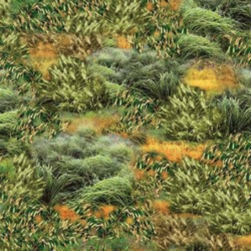 Serengeti Plains Savanna Grassland Umber Yardage