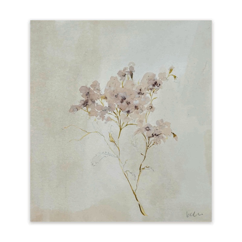 Yarrow No 2